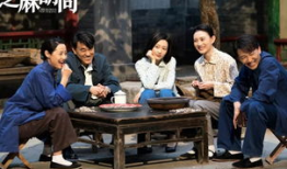 电视剧芝麻胡同,胡同里的岁月流转与人生百态